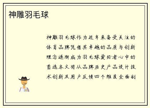 神雕羽毛球