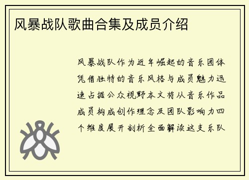 风暴战队歌曲合集及成员介绍